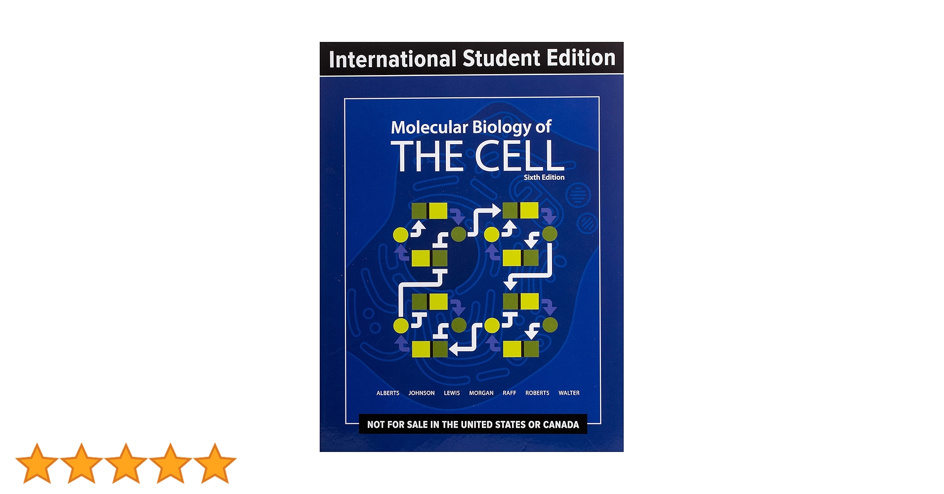 Amazon.co.jp: Molecular Biology of the Cell : Alberts, Bruce Amazon.co.jp: Molecular Biology of the Cell : Alberts, Bruce